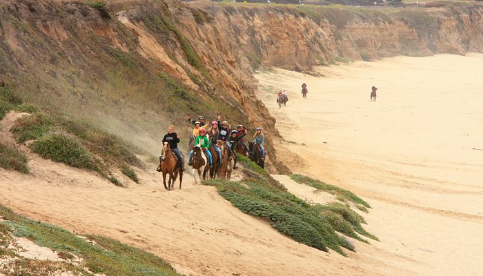 Sea Horse Ranch