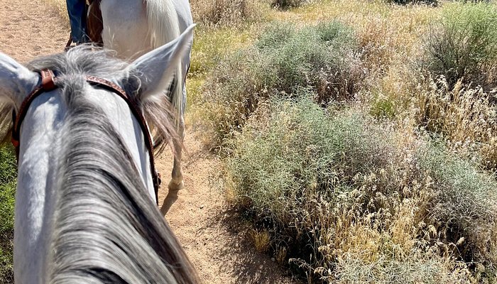 Mountain View Ranch