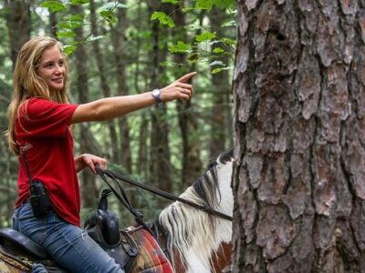 Mountain Creek Riding Stable