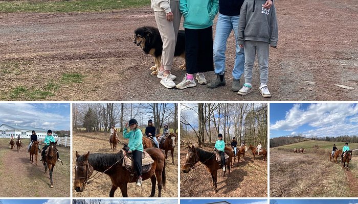 Bridle Hill Farm