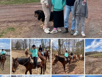 Bridle Hill Farm