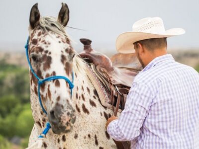 Horsin' Around Adventures