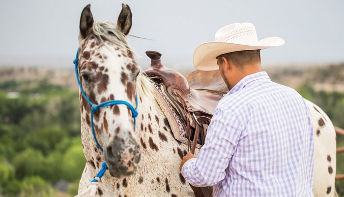 Horsin' Around Adventures