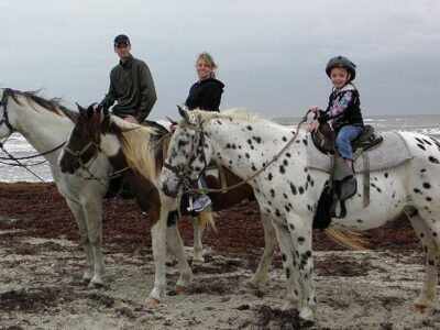 Horses On The Beach: Corpus Christi