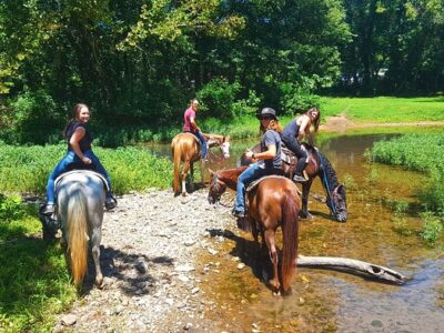 Hurricane Creek Stables, LLC