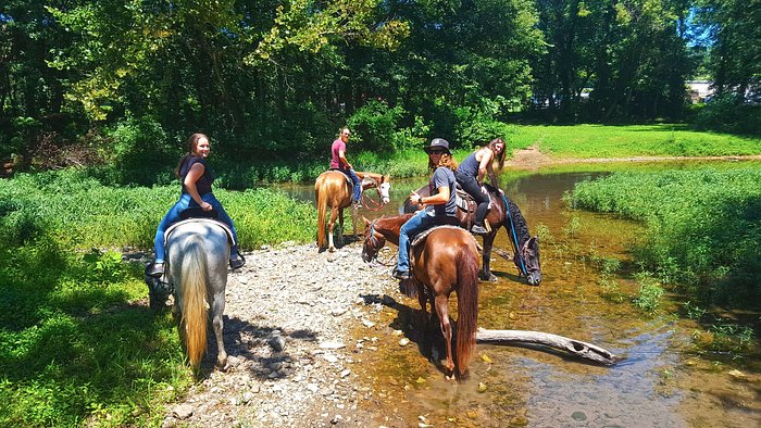 Hurricane Creek Stables, LLC