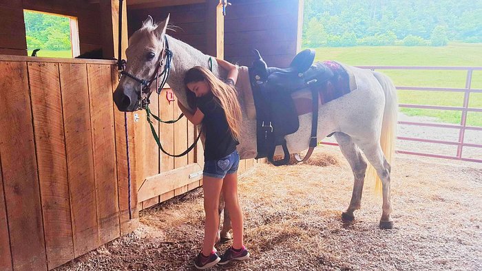 Hurricane Creek Stables, LLC