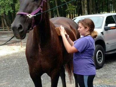 Winswept Stables