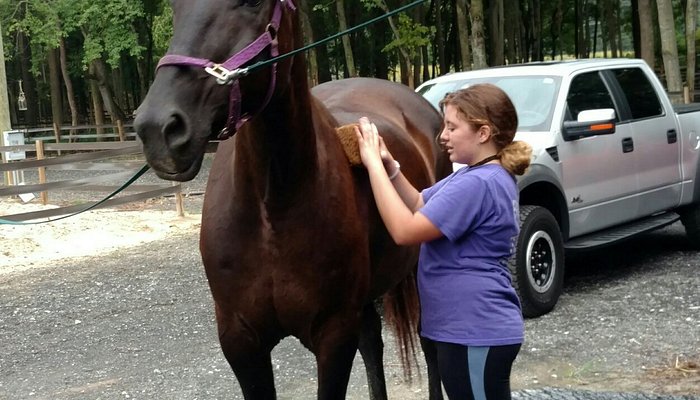 Winswept Stables