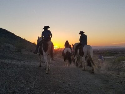 Arizona Horses (Ponderosa Stables and South Mountain Stables)