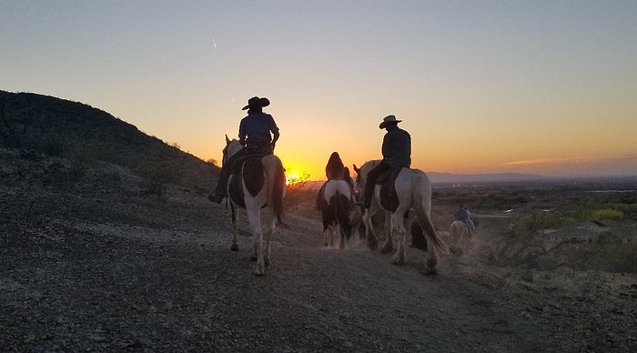Arizona Horses (Ponderosa Stables and South Mountain Stables)