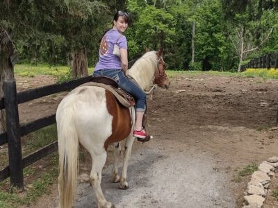 Deer Run Stable
