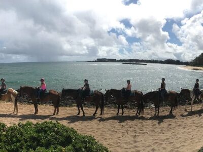 Turtle Bay Resort Horse Riding