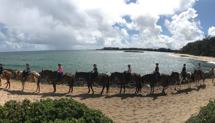 Turtle Bay Resort Horse Riding