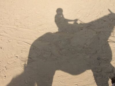 Westchester Trail Rides