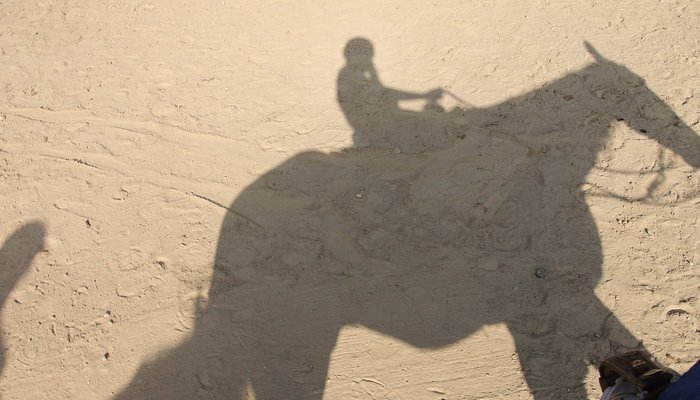 Westchester Trail Rides