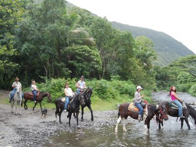 Wailea Horseback Adventure