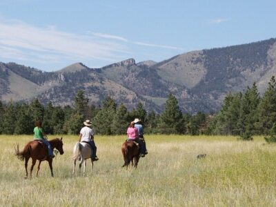 Summer Star Ranch