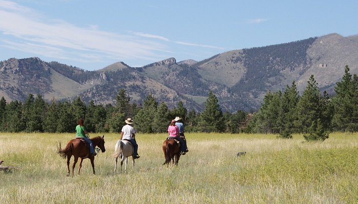 Summer Star Ranch