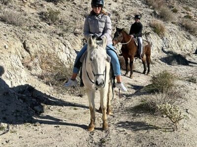 Crazy Horse Ranch