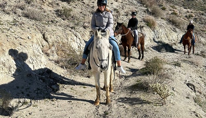 Crazy Horse Ranch