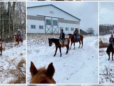 Bridle Hill Farm