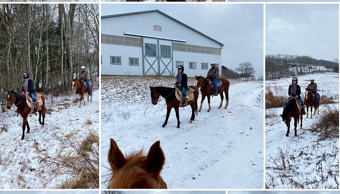 Bridle Hill Farm