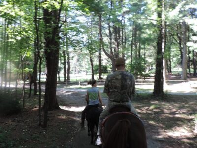 Silver Stallion Stables