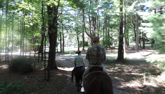 Silver Stallion Stables
