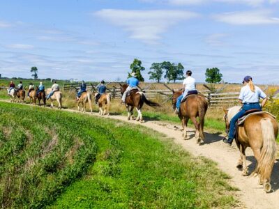 Hickory Hollow Horse Farm