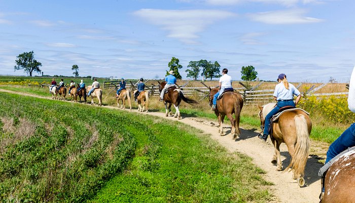 Hickory Hollow Horse Farm