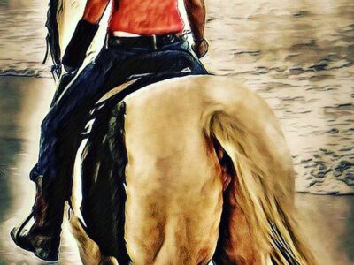 Horseback Riding Of Myrtle Beach