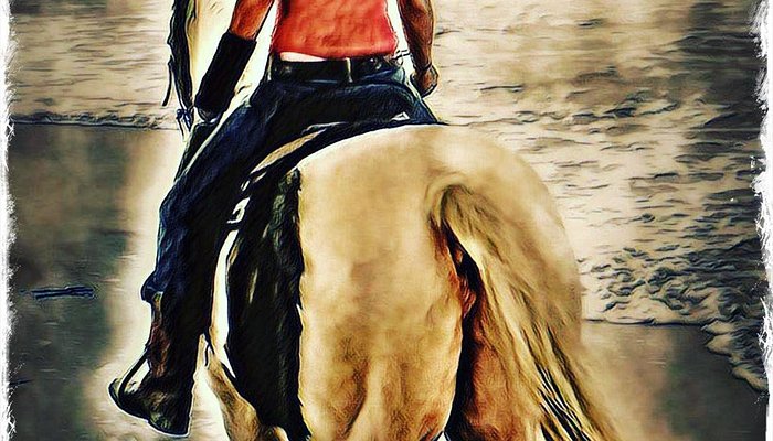 Horseback Riding Of Myrtle Beach