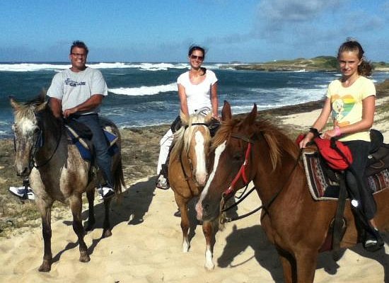Kahuku-Kai Horse Ranch
