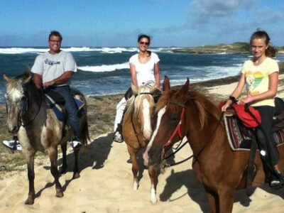 Kahuku-Kai Horse Ranch