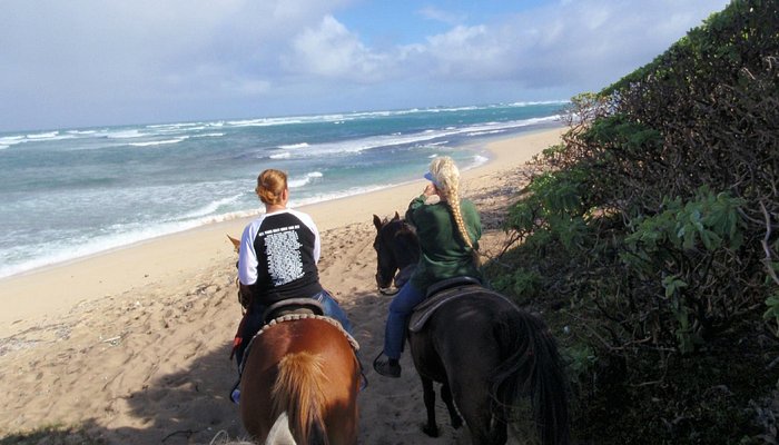 Kahuku-Kai Horse Ranch
