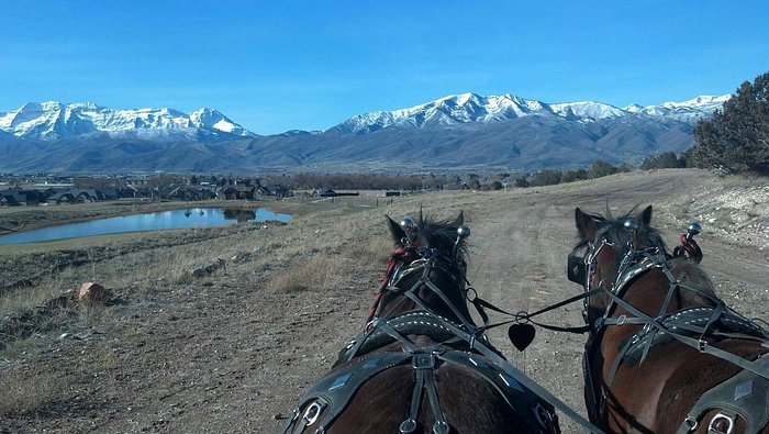 KB Horses