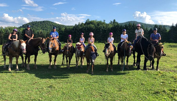 Lajoie Stables