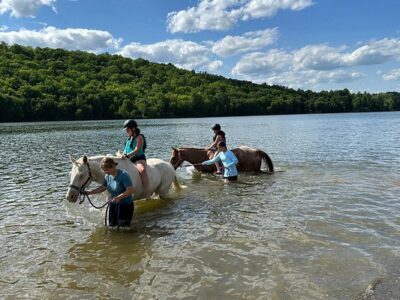 East Of Eden Stables