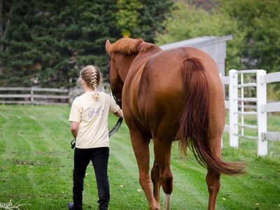 Cooperstown Equestrian Park