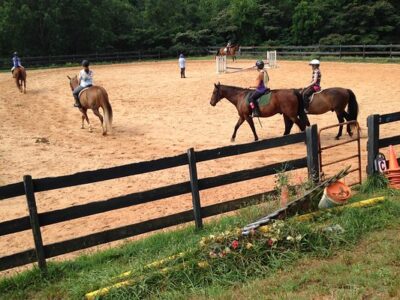 Scotsgrove Stables