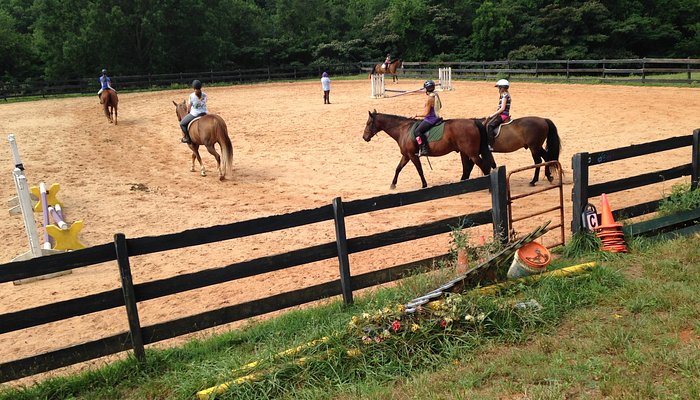 Scotsgrove Stables