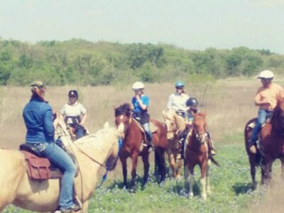 Tri-Star Farm