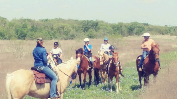 Tri-Star Farm