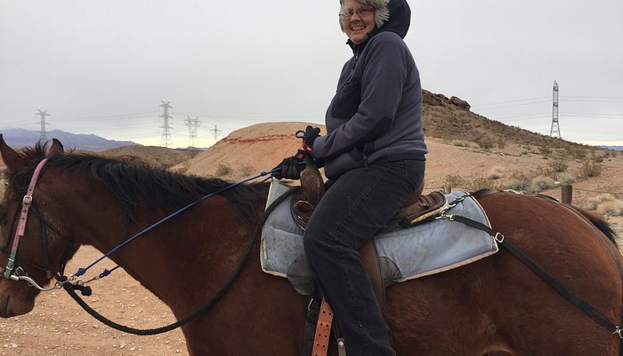 Silver State Horseback Riding Tours
