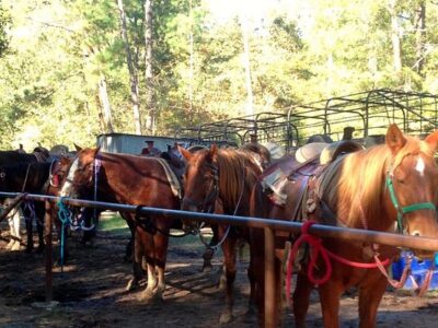 Faith Ridin' Stables