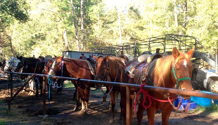 Faith Ridin' Stables