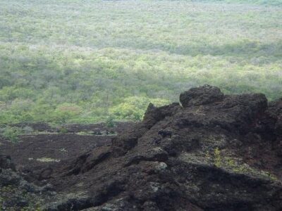 Makena Stables