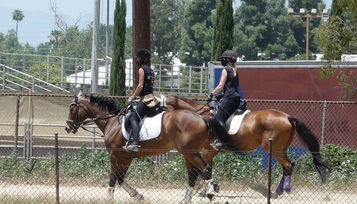 Los Angeles Equestrian Center