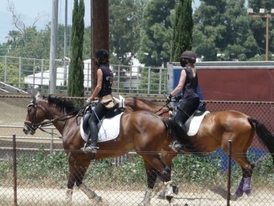 Los Angeles Equestrian Center